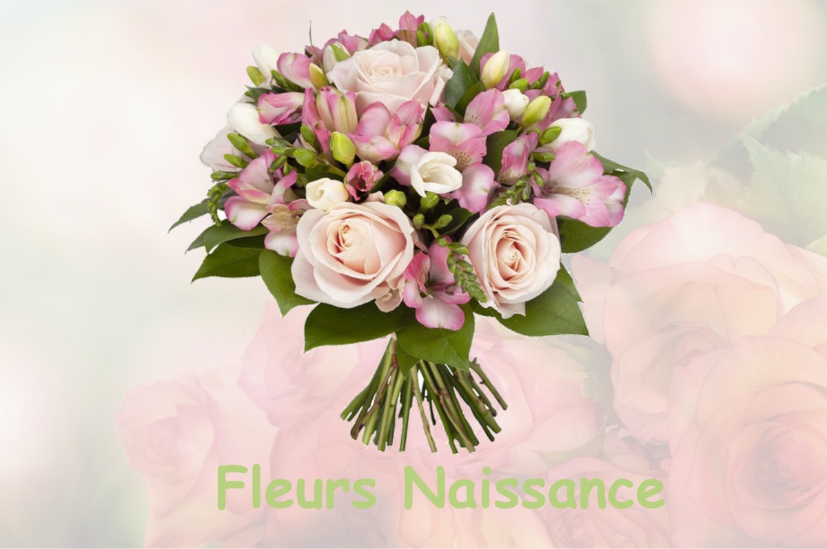 fleurs naissance FAY-AUX-LOGES
